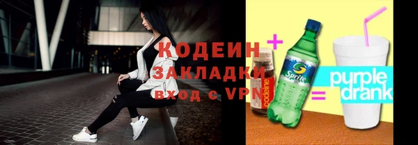 гашик Алексин