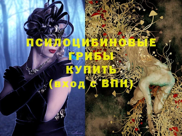 гашик Алексин