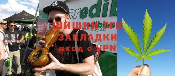 гашик Алексин