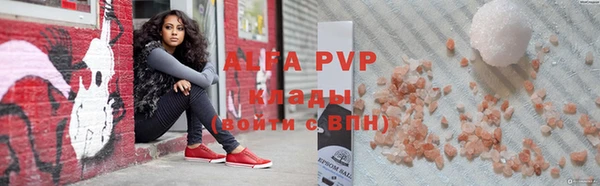 гашик Алексин