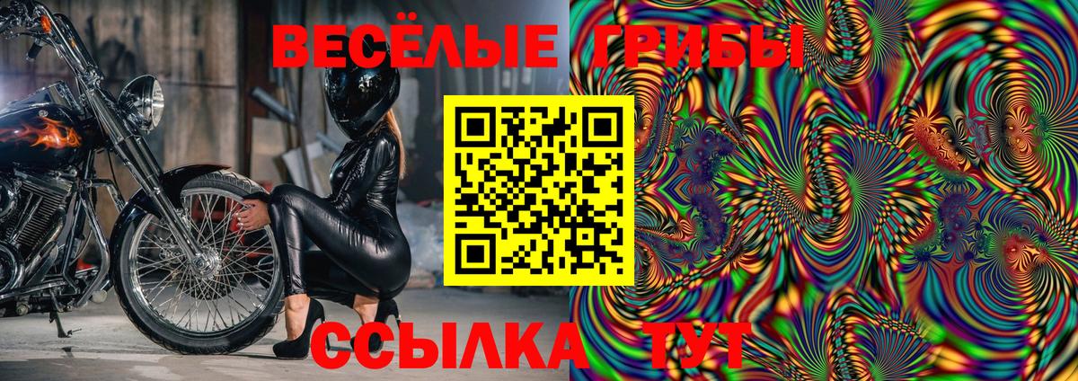 Ярцево  Галлюциногенные грибы MAGIC MUSHROOMS  Вход с VPN 